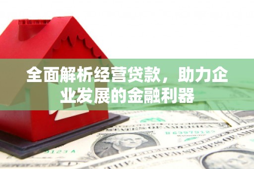乐陵全面解析经营贷款，助力企业发展的金融利器