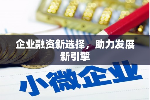 乐陵企业融资新选择，助力发展新引擎