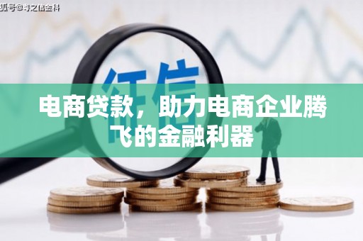乐陵电商贷款，助力电商企业腾飞的金融利器
