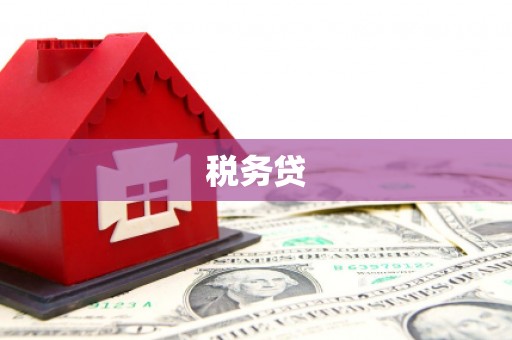 乐陵税务贷