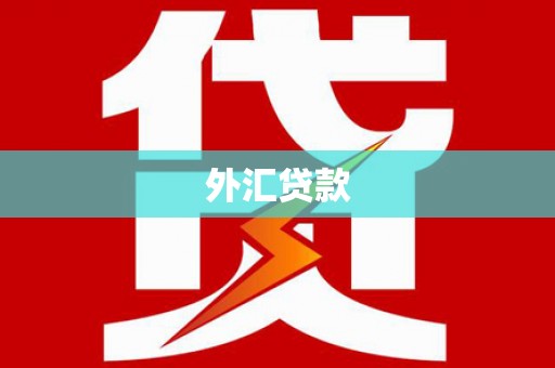 乐陵外汇贷款