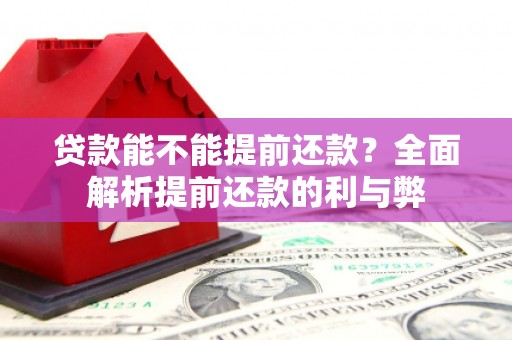 乐陵贷款能不能提前还款？全面解析提前还款的利与弊