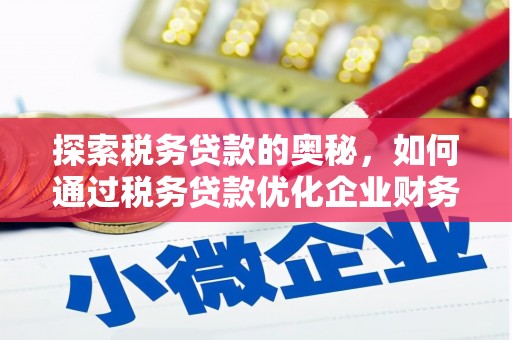 乐陵探索税务贷款的奥秘，如何通过税务贷款优化企业财务