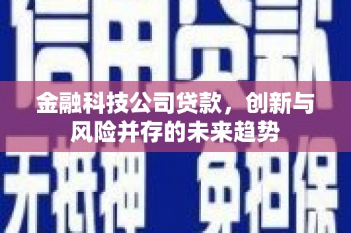 乐陵金融科技公司贷款，创新与风险并存的未来趋势