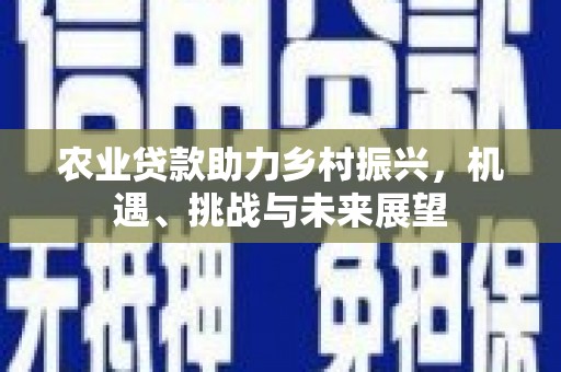 乐陵农业贷款助力乡村振兴，机遇、挑战与未来展望