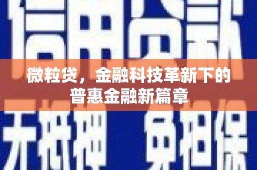 乐陵微粒贷，金融科技革新下的普惠金融新篇章
