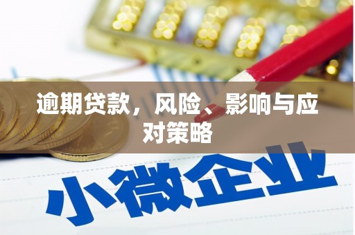 乐陵逾期贷款，风险、影响与应对策略