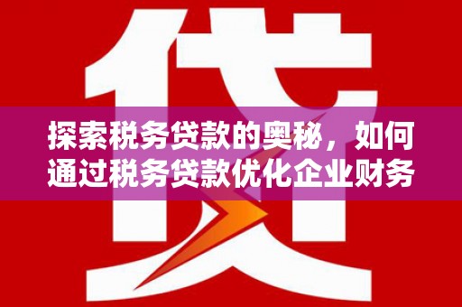 乐陵探索税务贷款的奥秘，如何通过税务贷款优化企业财务