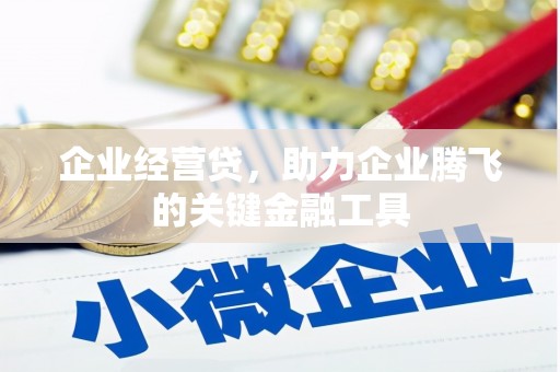 乐陵企业经营贷，助力企业腾飞的关键金融工具