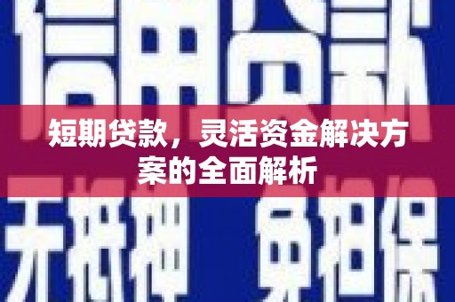 乐陵短期贷款，灵活资金解决方案的全面解析
