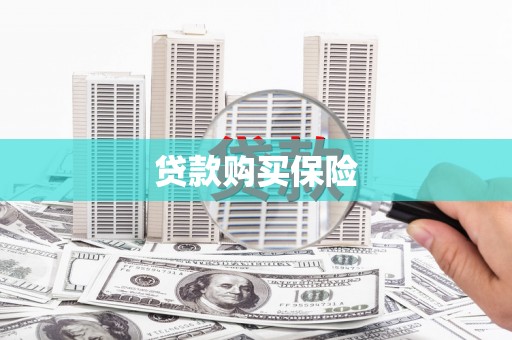 乐陵贷款购买保险