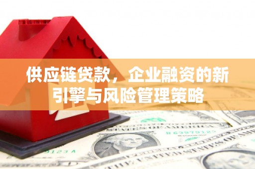 乐陵供应链贷款，企业融资的新引擎与风险管理策略