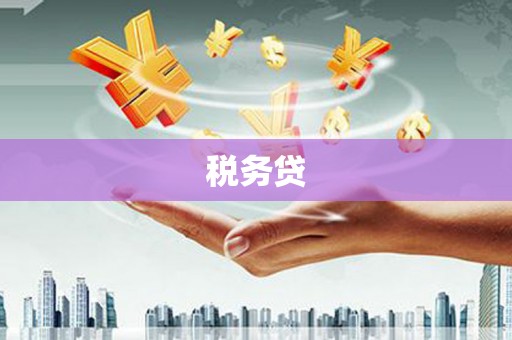 乐陵税务贷