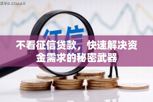 乐陵不看征信贷款，快速解决资金需求的秘密武器