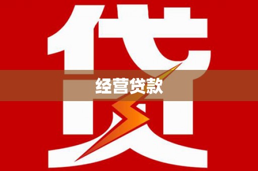 乐陵经营贷款