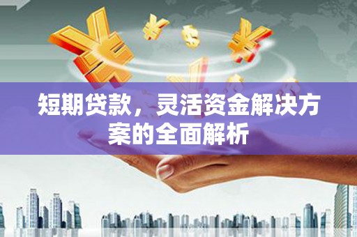 乐陵短期贷款，灵活资金解决方案的全面解析