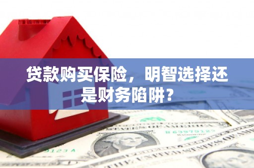乐陵贷款购买保险，明智选择还是财务陷阱？