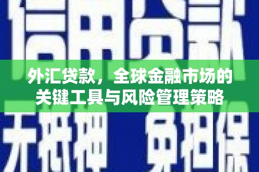 乐陵外汇贷款，全球金融市场的关键工具与风险管理策略