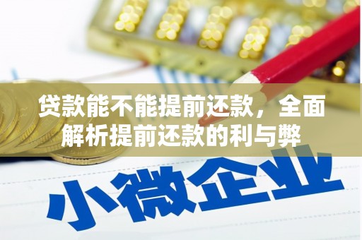 乐陵贷款能不能提前还款，全面解析提前还款的利与弊