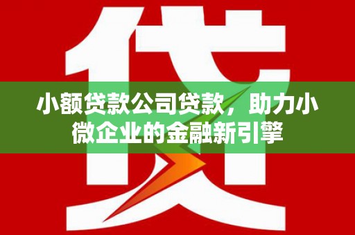乐陵小额贷款公司贷款，助力小微企业的金融新引擎