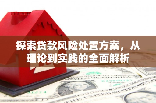 乐陵探索贷款风险处置方案，从理论到实践的全面解析