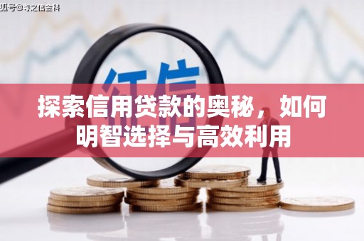 乐陵探索信用贷款的奥秘，如何明智选择与高效利用