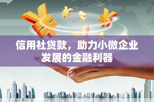 乐陵信用社贷款，助力小微企业发展的金融利器