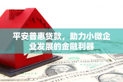 乐陵平安普惠贷款，助力小微企业发展的金融利器