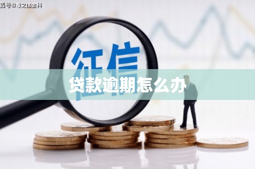 乐陵贷款逾期怎么办