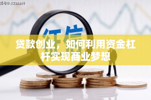 乐陵贷款创业，如何利用资金杠杆实现商业梦想
