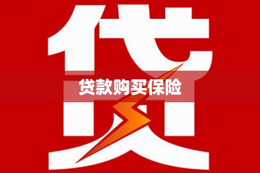 乐陵贷款购买保险