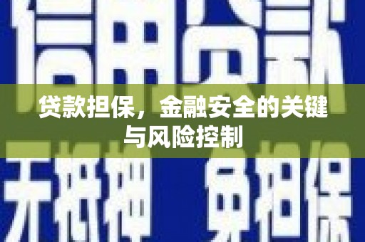 乐陵贷款担保，金融安全的关键与风险控制