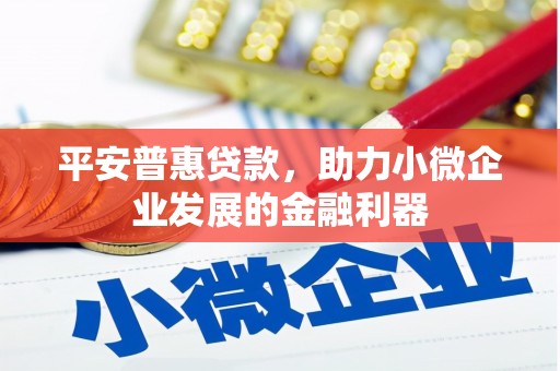 乐陵平安普惠贷款，助力小微企业发展的金融利器