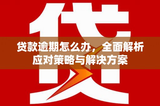 乐陵贷款逾期怎么办，全面解析应对策略与解决方案
